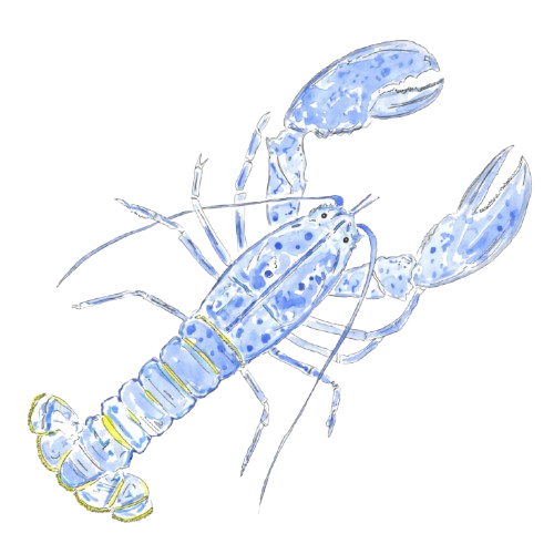 HAAR Rewards - The Seafood Lover